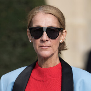 "Il y a des intentions très claires qui sont établies", a confié Line Basbous, présidente du fan-club de Céline Dion

Céline Dion sort de l'hôtel de Crillon à Paris le 31 janvier 2019.