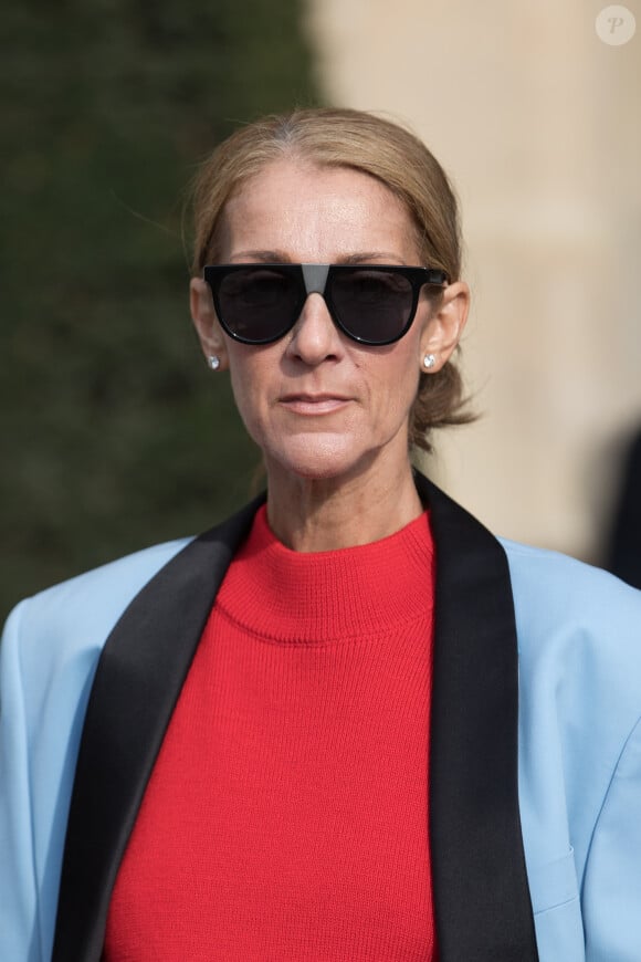 "Il y a des intentions très claires qui sont établies", a confié Line Basbous, présidente du fan-club de Céline Dion

Céline Dion sort de l'hôtel de Crillon à Paris le 31 janvier 2019.