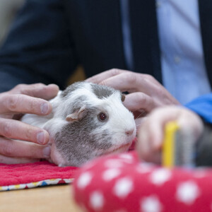 Le prince William de Galles en visite à la ferme urbaine "Woodgate Valley" à Birmingham. Le 25 avril 2024 