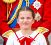 Il fêtera sans doute ce week-end l'anniversaire de Charlotte. 
La princesse Charlotte de Galles - La famille royale d'Angleterre sur le balcon du palais de Buckingham lors du défilé "Trooping the Colour" à Londres. Le 17 juin 2023