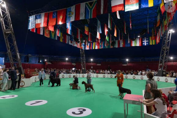 Le prince Albert II de Monaco et la princesse Charlène de Monaco lors de la remise des prix de l'Exposition Canine Internationale 2024, organisée par la Société Canine de Monaco et le Monaco Kennel Club, dans le quartier de Fonvieille. Monaco, le 4 mai 2024. © Olivier Huitel/Pool Monaco/Bestimage 