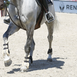 Prix Renault Imagine Margo - Guillaume Canet (FRA) 3eme sur Wouest de Cantraie Z lors du Longines Paris Eiffel Jumping au Champ de Mars à Paris, France, le 6 juillet 2019. © Gwendoline Le Goff/Panoramic/Bestimage