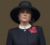 Livre dans lequel il devrait parler de sa soeur.
Catherine Kate Middleton, duchesse de Cambridge - La famille royale d'Angleterre sans la reine et la classe politique anglaise participent au 'Remembrance Day', une cérémonie d'hommage à tous ceux qui sont battus pour la Grande-Bretagne, au Cenopath à Whitehall, Londres le 14 novembre 2021. 