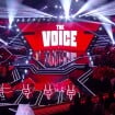 EXCLU The Voice 2024 : Un finaliste et Pierre Garnier (Star Ac) liés par une même femme ! Explications...