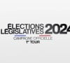 Emmanuel Macron a provoqué la tenue d'élections législatives anticipées
Logo des élections législatives anticipées