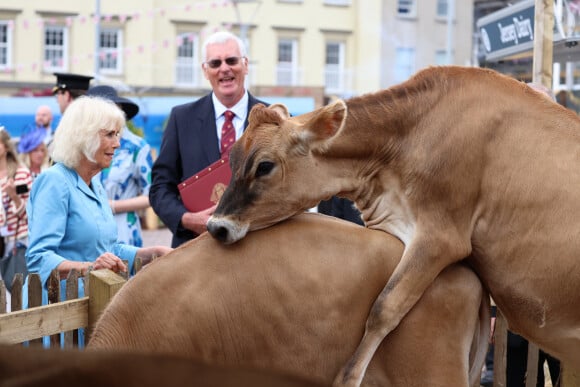 L'hilarante séquence, relayée par la journaliste du "Daily Mail" Rebecca English, a énormément amusé les internautes.
La reine Camilla assiste à un accouplement de vaches à Jersey lors d'une visite ce lundni 15 juillet 2024 © Ian Vogler/MirrorPix/Bestimage