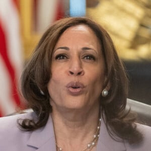 Kamala Harris, vice-présidente des Etats-Unis, s'entretient avec des membres de DACA (Deferred Action for Childhood Arrivals) qui gèrent les arrivées d'enfants sur le territoire américain le 22 juillet 2021. © Imago / Panoramic / Bestimage 