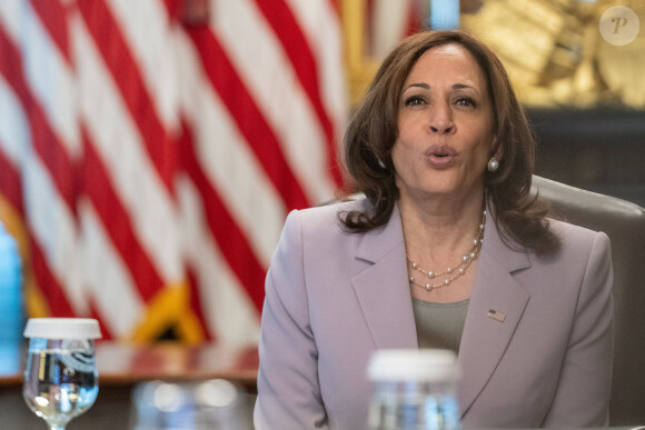 Kamala Harris, vice-présidente des Etats-Unis, s'entretient avec des membres de DACA (Deferred Action for Childhood Arrivals) qui gèrent les arrivées d'enfants sur le territoire américain le 22 juillet 2021. © Imago / Panoramic / Bestimage 