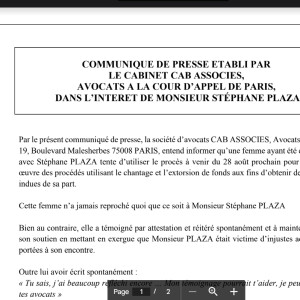 Communiqué de presse des avocats de Stéphane Plaza