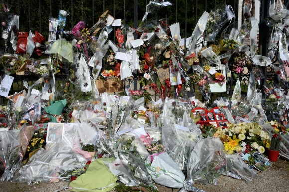 Un moment qui a ému les fans de l'acteur.
Les fans rendent hommage à Alain Delon devant la grille de sa propriété à Douchy-Montcorbon pendant ses obsèques le 24 août 2024. 