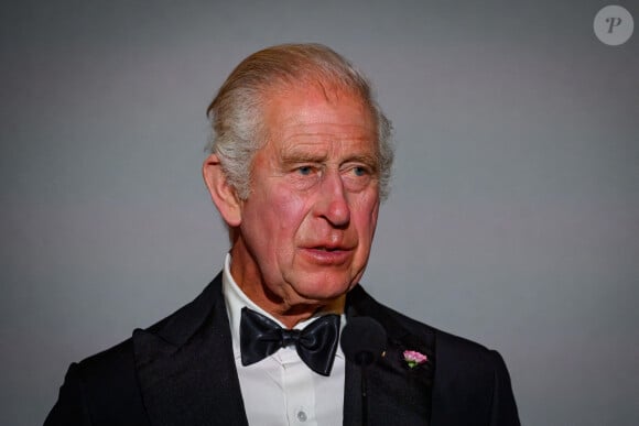 Le roi Charles III assiste au banquet d'État à la Galerie des Glaces du château de Versailles, à Versailles, en France, lors de la première journée de la visite d'État du couple royal britannique dans le pays. Photo par Eric Tschaen/Pool/ABACAPRESS.COM