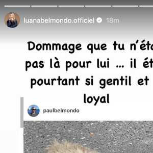 Face à la publication de Paul, elle a écrit en story : "Dommage que tu n'étais pas là pour lui...".
Luana Belmondo confie son ressentiment à l'égard de son futur ex-mari suite à la mort de son chien Maxou.