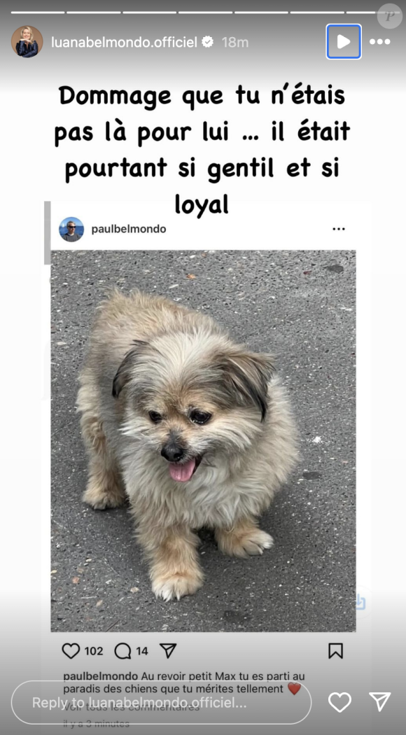 Face à la publication de Paul, elle a écrit en story : "Dommage que tu n'étais pas là pour lui...".
Luana Belmondo confie son ressentiment à l'égard de son futur ex-mari suite à la mort de son chien Maxou.