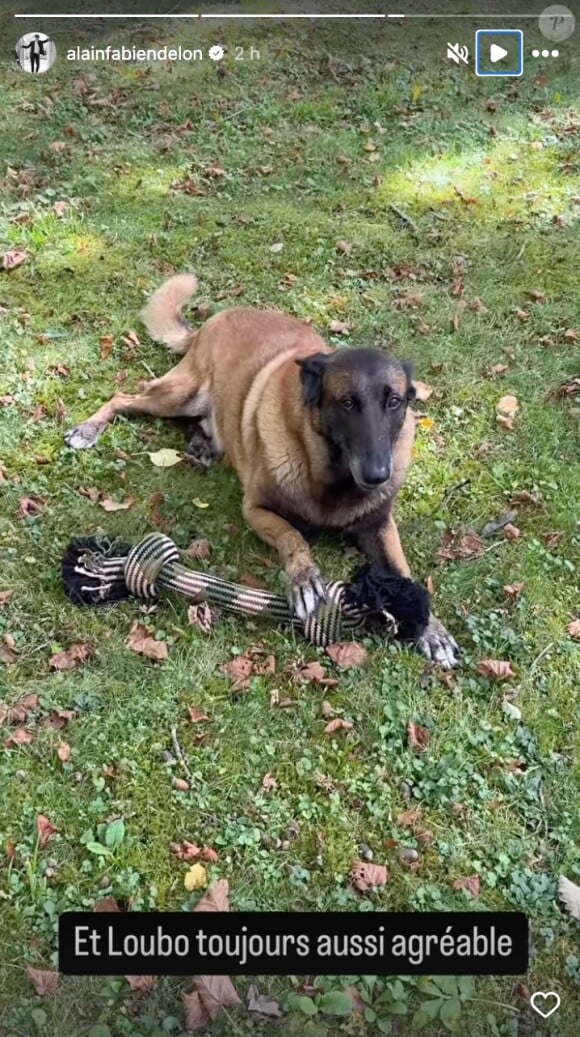 Alain-Fabien Delon immortalise Loubo, le dernier chien d'Alain Delon.
(Capture d'écran Instagram)