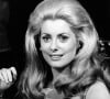 Ce ne sont autres que Frédéric Biousse et Guillaume Foucher, cofondateurs des Domaines de Fontenille, qui ont racheté le lieu d'exception...
5 août 1965 - Londres, Angleterre, Royaume-Uni - L'actrice CATHERINE DENEUVE (née le 22 octobre 1943) est une actrice française doublement récompensée aux César, nommée aux BAFTA Awards et nommée aux Academy Awards. c. années 19760-1970. Photo par © Keystone Press Agency/ZUMA Press Wire/ABACAPRESS.COM