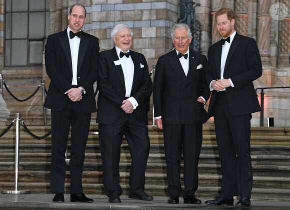 Le prince William, duc de Cambridge, Sir David Attenborough, le prince Charles, prince de Galles, le prince Harry, duc de Sussex, à la première de la série Netflix "Our Planet" au Musée d'Histoires Naturelles à Londres, le 4 avril 2019. 