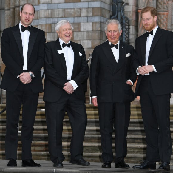 Le prince William, duc de Cambridge, Sir David Attenborough, le prince Charles, prince de Galles, le prince Harry, duc de Sussex, à la première de la série Netflix "Our Planet" au Musée d'Histoires Naturelles à Londres, le 4 avril 2019. 