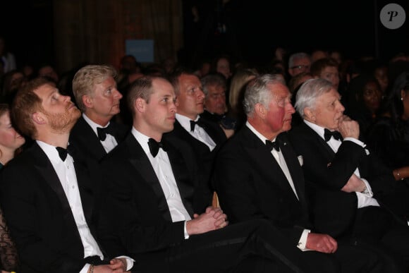 Le prince William, duc de Cambridge, Sir David Attenborough, le prince Charles, prince de Galles, le prince Harry, duc de Sussex, lors de la première de la série Netflix "Our Planet" au Musée d'Histoires Naturelles à Londres, le 4 avril 2019. 