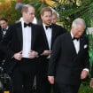 Ce jour où les princes Harry et William ont arrêté d'être conviés aux soirées de P. Diddy, les langues se délient