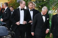 Ce jour où les princes Harry et William ont arrêté d'être conviés aux soirées de P. Diddy, les langues se délient