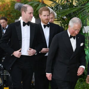 Une affaire qui fait grand bruit !
Le prince William, duc de Cambridge, le prince Harry, duc de Sussex, le prince Charles, prince de Galles lors de la première mondiale de la série Netflix "Our Planet" au Musée d'histoire naturelle de Londres.