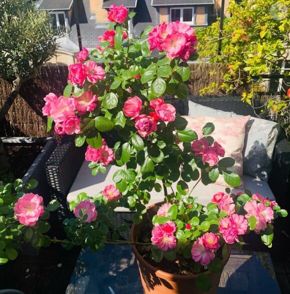 Où règnent les fleurs

Elsa Zylberstein montre sa maison, Instagram.