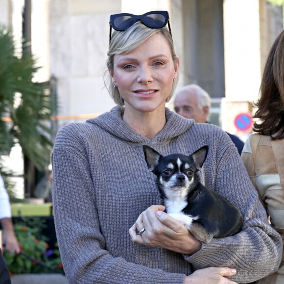 Dont deux chihuahuas
La princesse Charlene de Monaco et Sylvia Sermenghi, la présidente de l'association Rokethon - La princesse Charlene de Monaco a participé au chapiteau de Fontvieille, à Monaco, le 5 octobre 2024