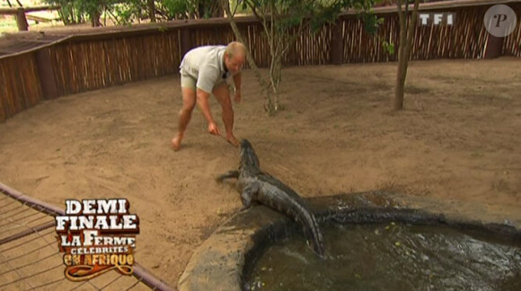Bienvenue dans la réserve des crocodiles 
