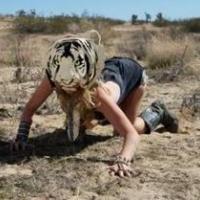 Kesha : Admirez-la, une vraie tigresse au beau milieu du désert !