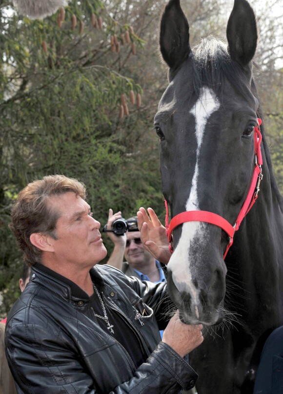Le 24 avril 2010, David Hasselhoff a fait ami-ami avec un cheval en Allemagne avant d'aller faire son come-back musical dans une émission !