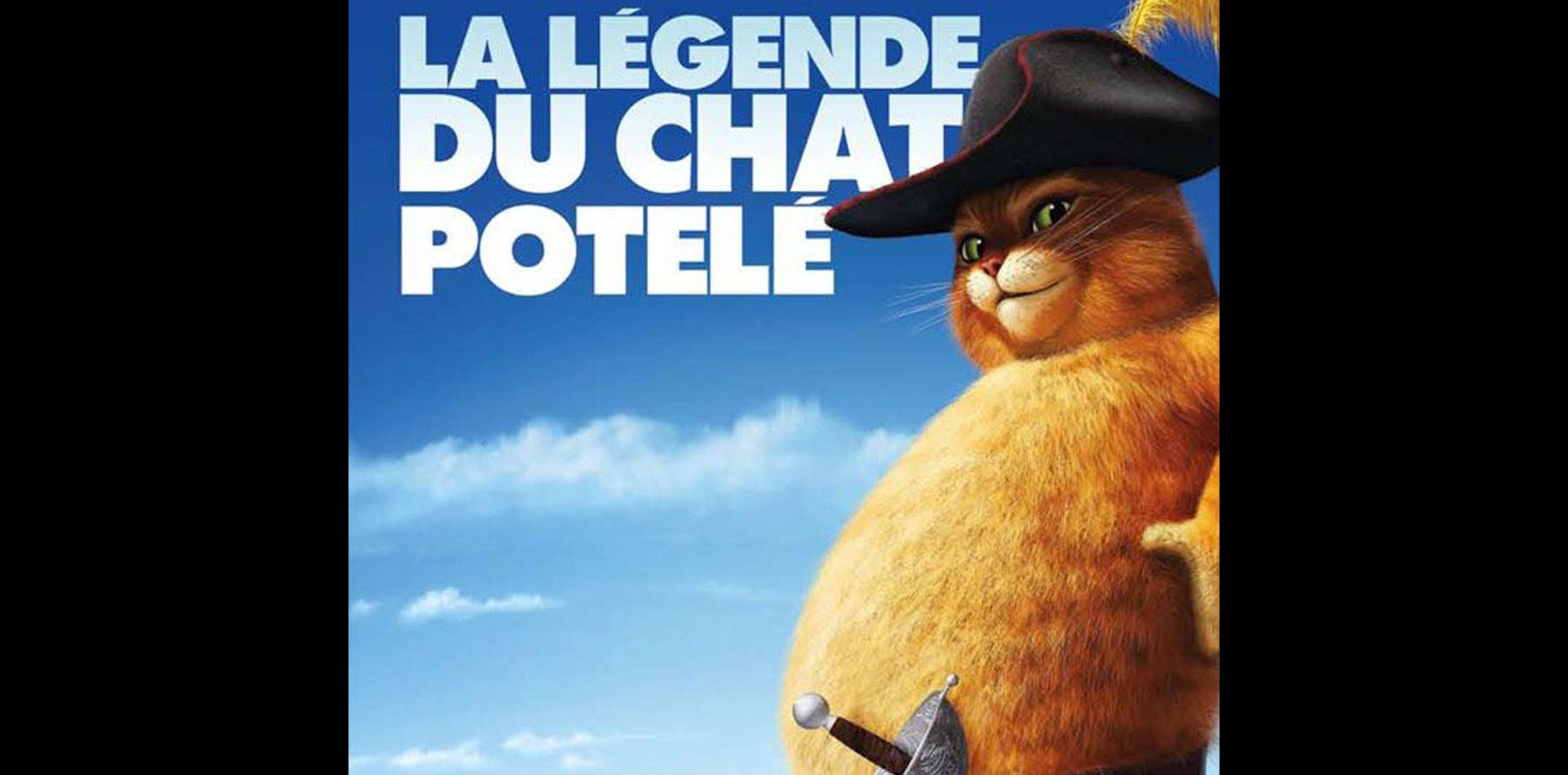 Mais Le Matou Revient Le Jour Suivant "Shrek 4" : Regardez l'adorable Chat Potté devenu... un énorme matou
