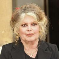 Brigitte Bardot dévoile une affiche choc pour le Festival de Cannes !