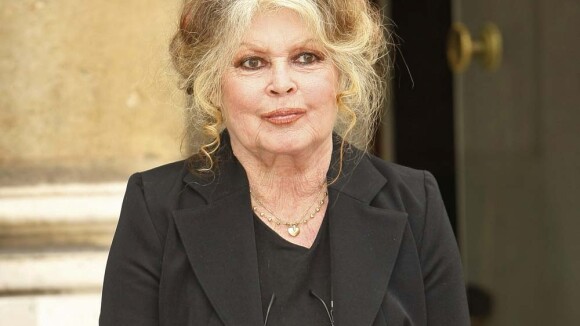 Brigitte Bardot dévoile une affiche choc pour le Festival de Cannes !