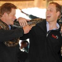 Les princes Harry et William font des rencontres... sauvages pour leur première mission ensemble !