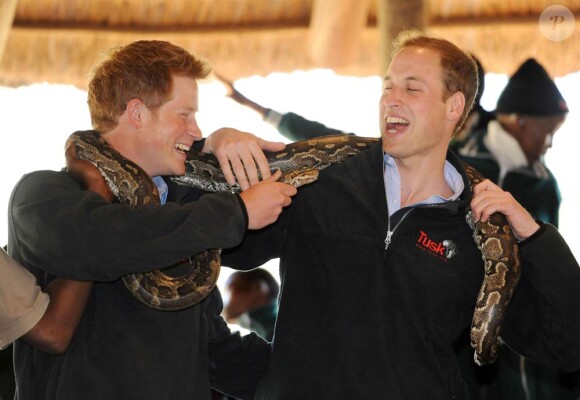 Les princes William et Harry entameront mercredi 16 juin 2010 leur première tournée de bienfaisance conjointe à l'étranger. Mardi 15 juin, ils ont visité ensemble une réserve naturelle au Bostwana et fait... quelques rencontres !