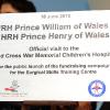 Les princes William et Harry visitaient le 18 juin 2010 un hôpital du Cap