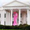 La Maison Blanche, en 2009, doté d'un ruban rose, pour le mois de sensibilisation au cancer du sein.