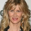 Laura Dern aura son étoile sur le Walk of Fame de Hollywood Boulevard, le 1er novembre 2010.