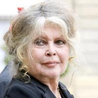 Brigitte Bardot : Le litige est réglé, son expo reprend du service !