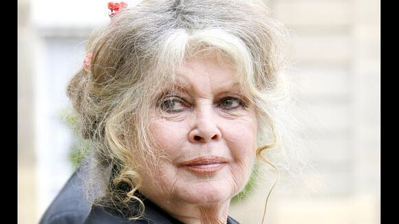 Brigitte Bardot : Le litige est réglé, son expo reprend du service !