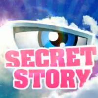 Secret Story 4 : Le CSA épingle TF1 pour de nombreux écarts de conduite !