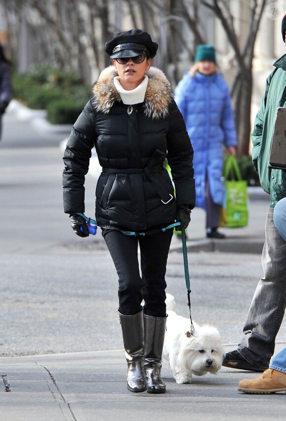 Catherine Zeta-Jones promène son chien dans Central Park à New York le 7 décembre 2010