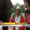 Hoang et Frédéric profitent de leur safari dans la jungle dans Pékin Express : duos de choc