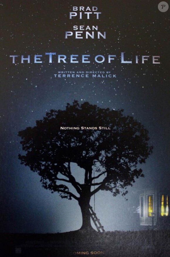 Des images de The Tree of Life, en salles en mai 2011.