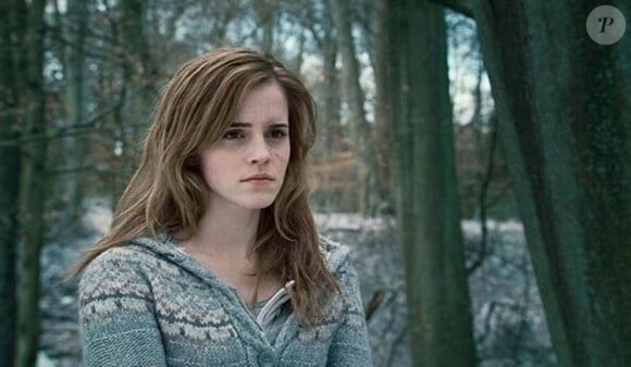 Des images de Harry Potter et les reliques de la mort partie 1, plus gros succès de l'année 2010 en France.