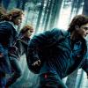 Harry Potter et les reliques de la mort en course pour l'Oscar des meilleurs effets spéciaux 2011.