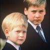 Le Prince William d'Angleterre et son frère le Prince Harry en juin 1989