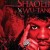 Raekwon, The Chef du Wu-Tang Clan, garde la cadence adoptée avec son retour en solo en 2009 et revient en 2011 avec le concept album Shaolin Vs. Wu-Tang !
