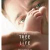 The Tree Of Life de Terrence Malick, sortie prévue le 18 mai 2011.