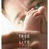 Sean Penn et Brad Pitt - The Tree Of Life de Terrence Malick - sortie prévue le 18 mai 2011.